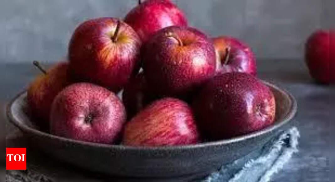 The Times of India - Business - News Image