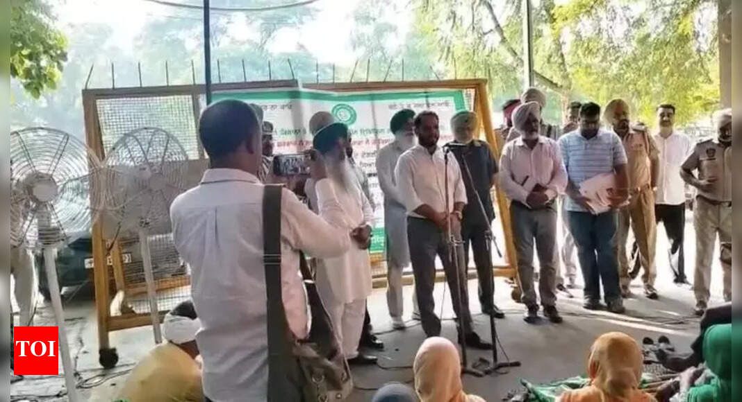 The Times of India - Politics - News Image