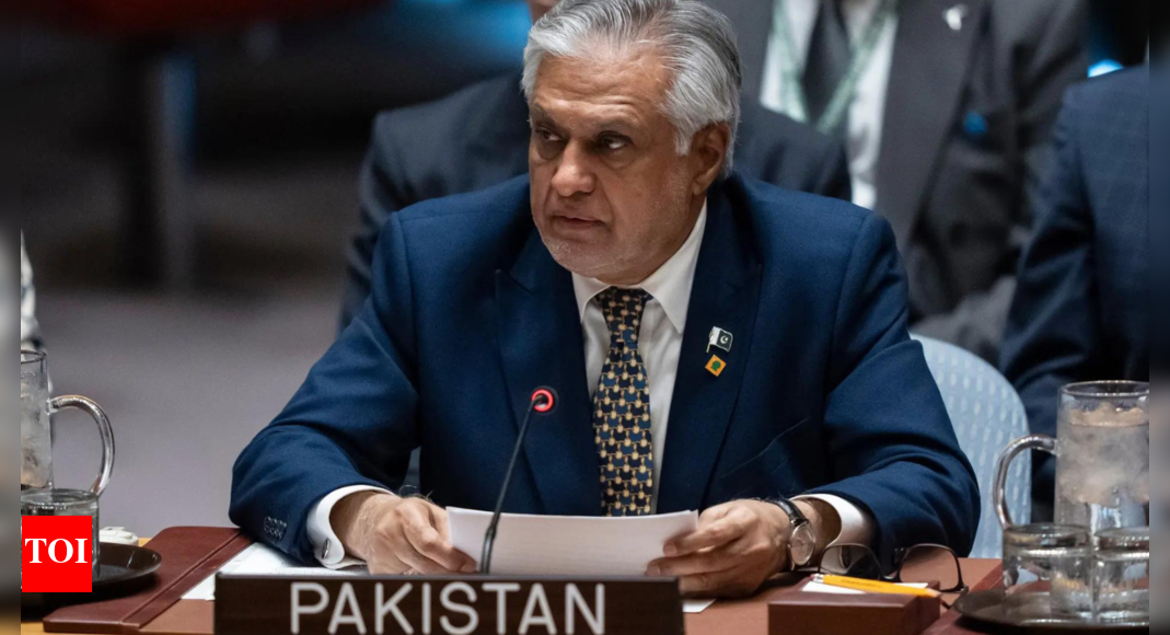 <div>Israel-Hamas peace plan: Pakistan sending troops to Gaza? Spotlight on 'peacekeeping force'</div>
