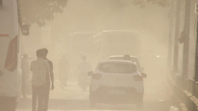 Environment-related offences increased by 30%, tobacco-linked crimes dominate the green violation figures in 2023