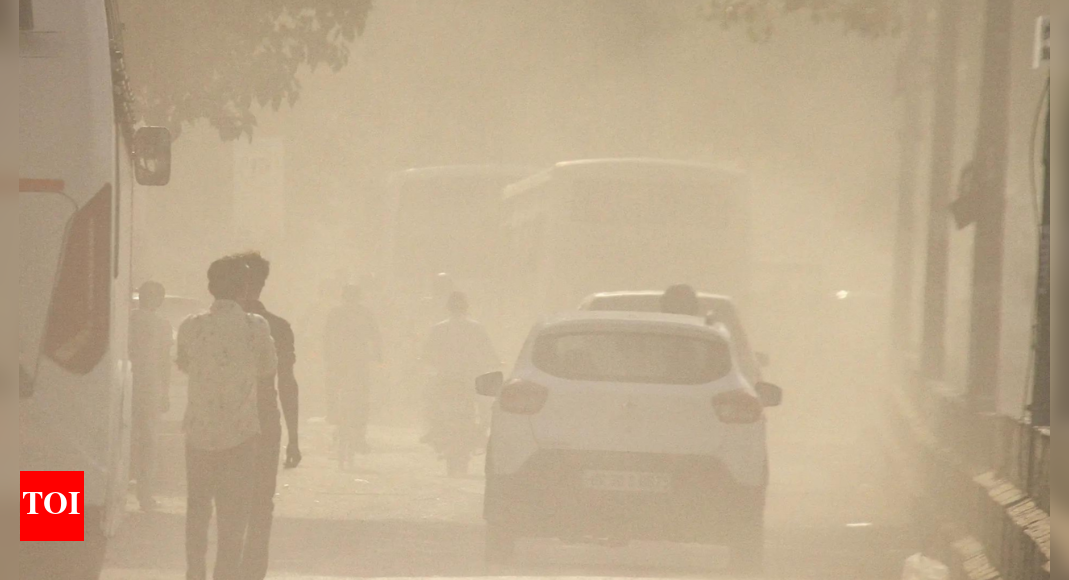 Environment-related offences increased by 30%, tobacco-linked crimes dominate the green violation figures in 2023