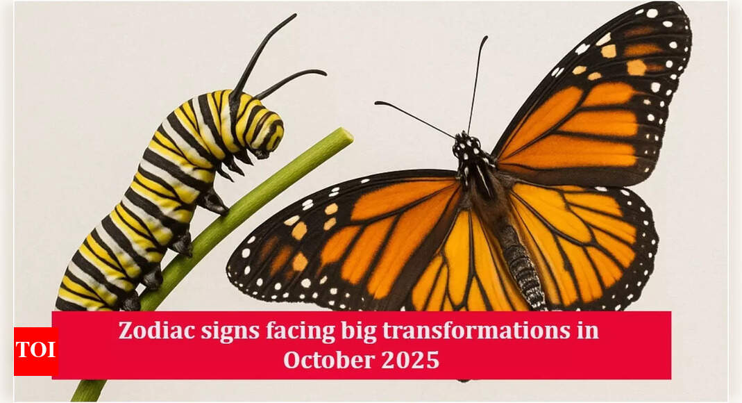 Zodiac signs facing big transformations in October 2025