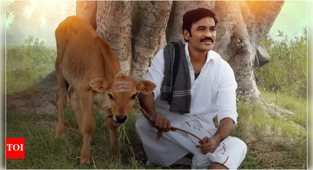 ‘Idli Kadai’ OTT release: Dhanush’s film to stream on THIS platform – Reports | Tamil Movie News – The Times of India