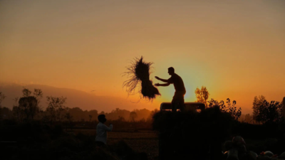10,786 farmers and agri labourers committed suicide in India in 2023, Maharashtra reports the highest 38% of them followed by Karnataka at 22% : NCRB