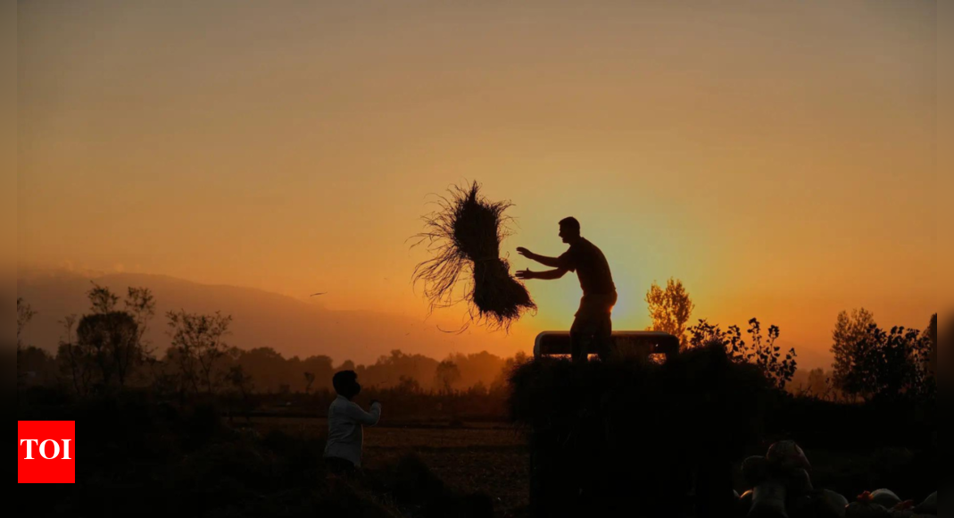 10,786 farmers and agri labourers committed suicide in India in 2023, Maharashtra reports the highest 38% of them followed by Karnataka at 22% : NCRB