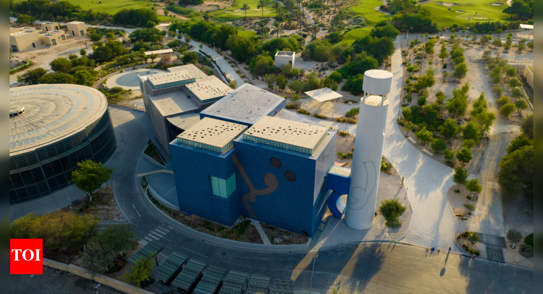 Doha to open first museum dedicated to M F Husain in November