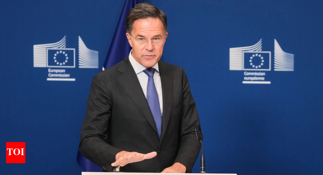 How has Mark Rutte navigated his first year as Nato head?