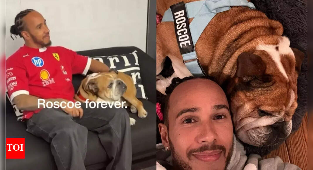 Serena Williams sends love to Lewis Hamilton as he mourns Roscoe; F1 star honors friend who cared for him