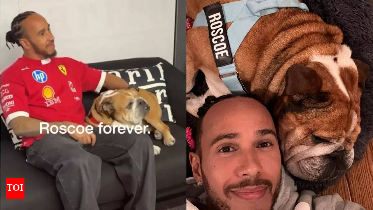 Serena Williams sends love to Lewis Hamilton as he mourns Roscoe; F1 star  honors friend who cared for him | Formula One News - The Times of India
