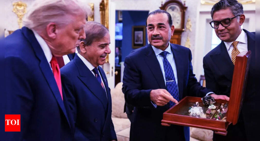 'What a joke': Pak lawmaker mocks 'salesman' Munir's rare earth display for Trump