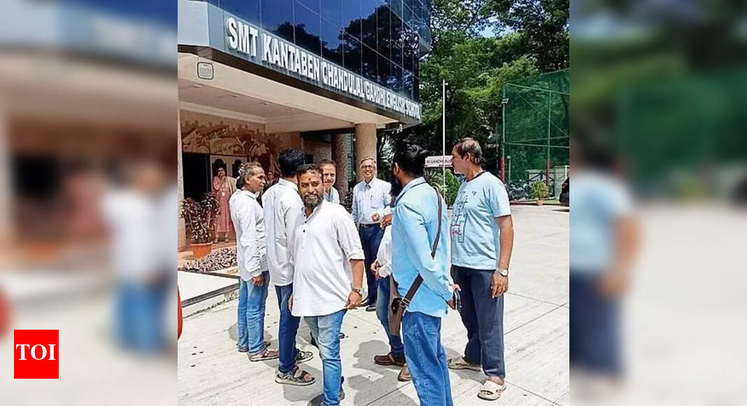 The Times of India - Entertainment - News Image