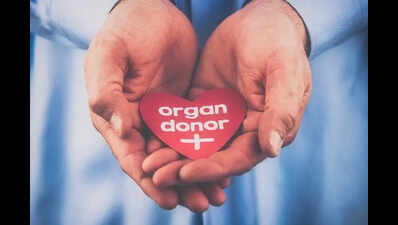 Organs of brain-dead youth save 3 lives in Guntur