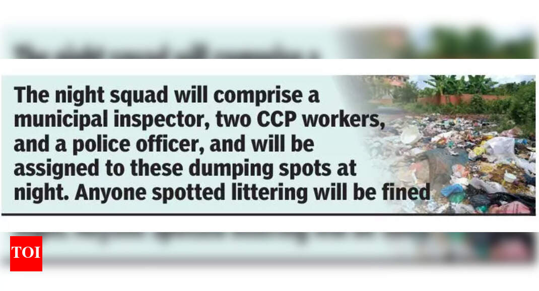 Panaji corporation to deploy night squad to check public littering