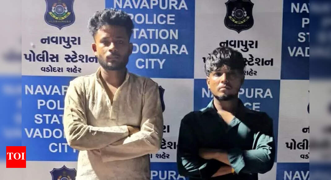 Five arrested after garba turns violent | Vadodara News - The Times of ...