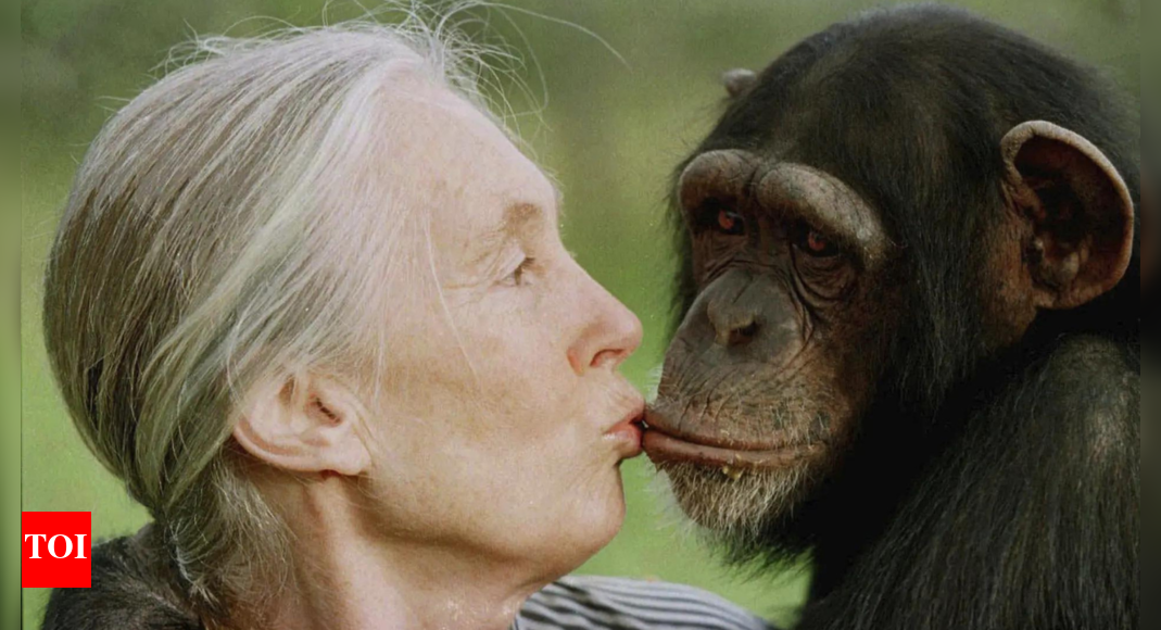 <div>The 'chimpanzee whisperer': British primatologist dies at 91 - Who was Jane Goodall?</div>