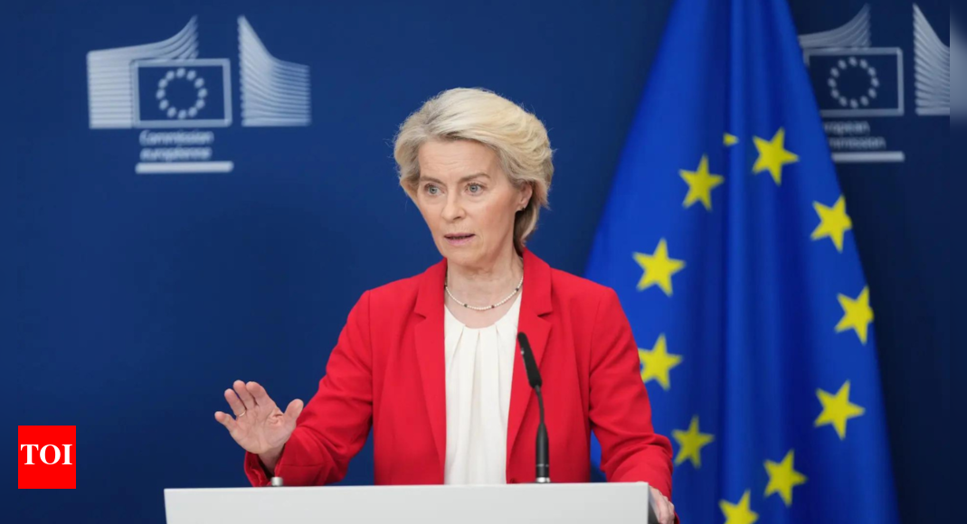 <div>‘Europe needs to defend itself’: EU leaders back 'Drone Wall' to strengthen defences-what is it?</div>