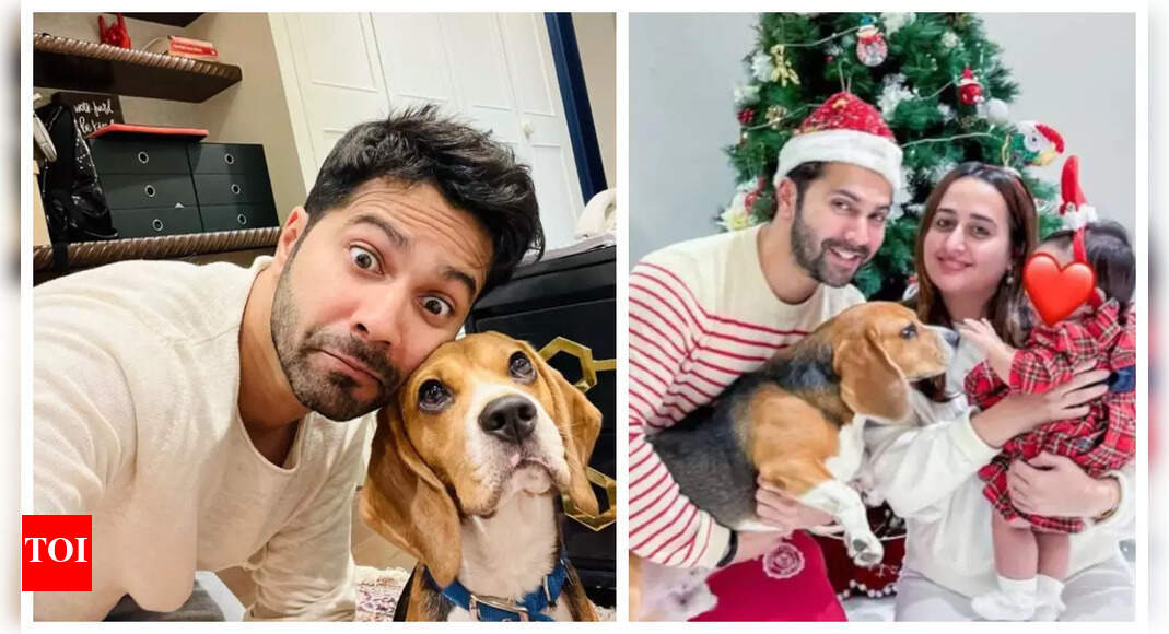 'I don’t differentiate between my dog and my child': Varun Dhawan reveals how his pet Joey prepared him to welcome his daughter Lara