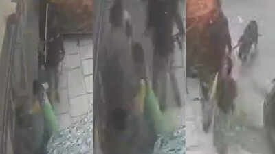 Hyderabad: Elderly woman brutally thrashed by cop's wife, sister over dog fouling; incident sparks anger