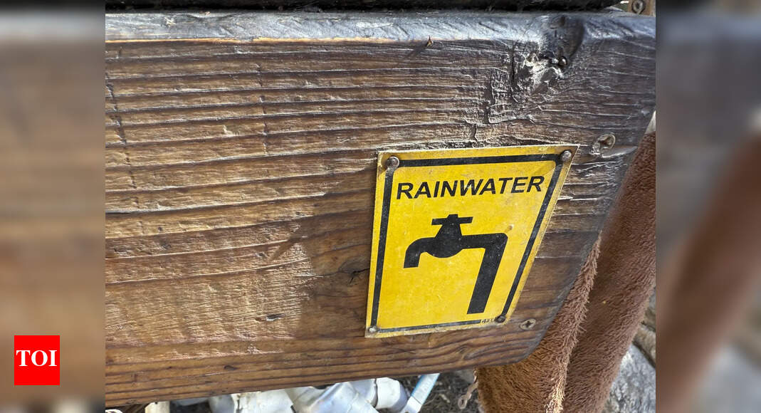 Tap into harvesting rainwater to curb crisis, say experts