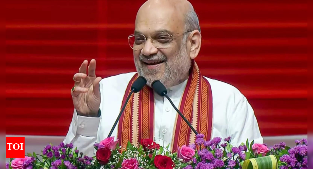 <div>'Proud swayamsevak' Amit Shah lauds RSS for 'nation-building', shaping leaders</div>