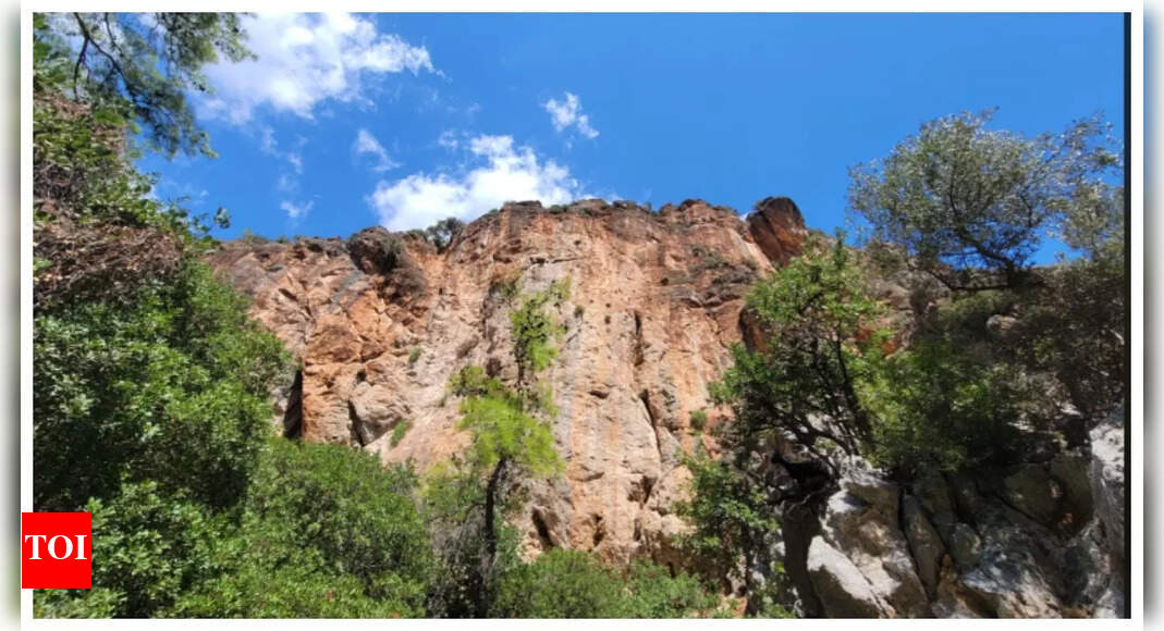 Optical illusion: We will rename you 'hawk eyes' if you can spot the goat in this mind-boggling image!