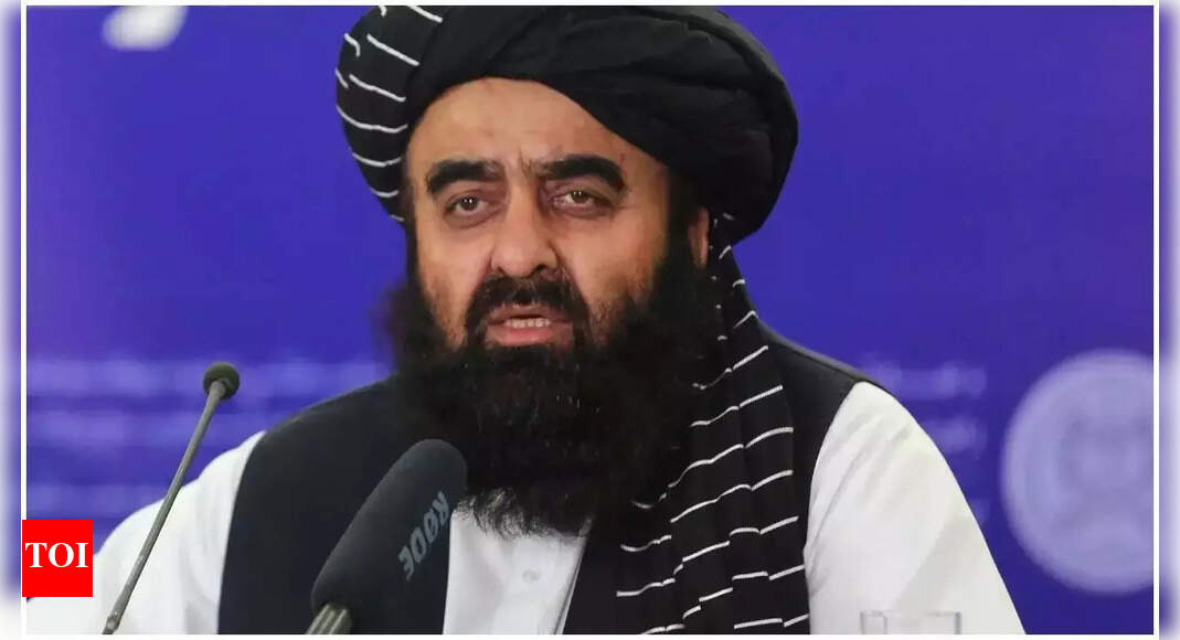 Taliban FM to visit India next week? Amir Khan Muttaqi gets travel exemption