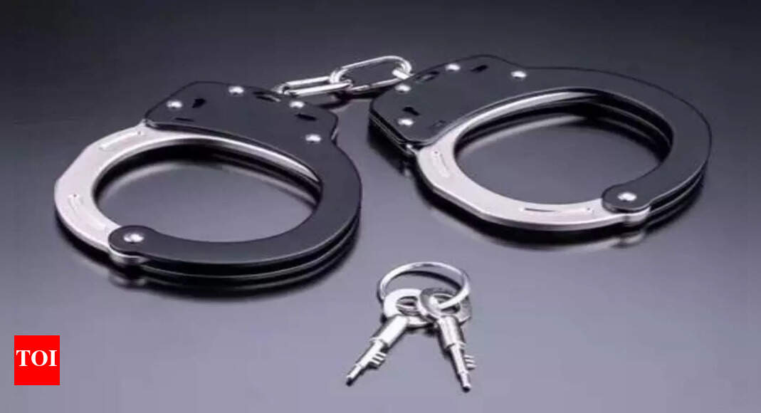 Government proposes to make violation of online money game rules non-bailable; draft rules ban ....