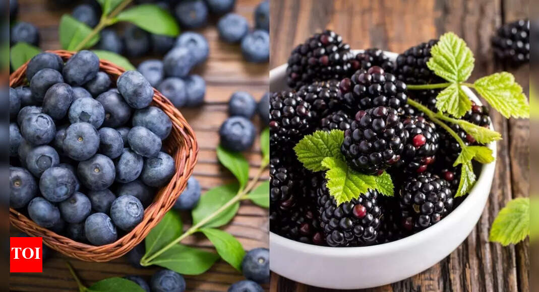Blueberry vs. Blackberry: Which one is the healthier pick for weight loss, blood sugar control, cognitive health