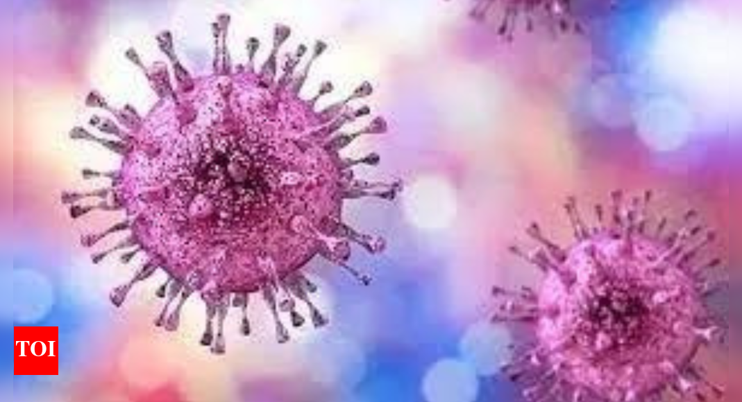 Pilibhit: ‘Mystery fever’ kills 4 in 3 days; over 100 people sick