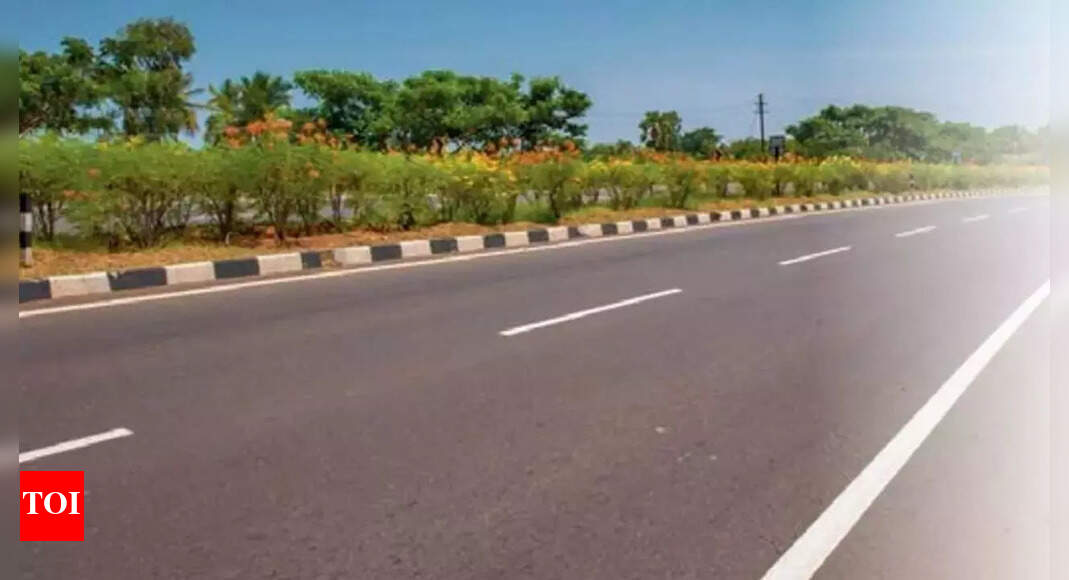 Delhi mulls ‘smog-eating’ coatings on roads, efficacy questionable
