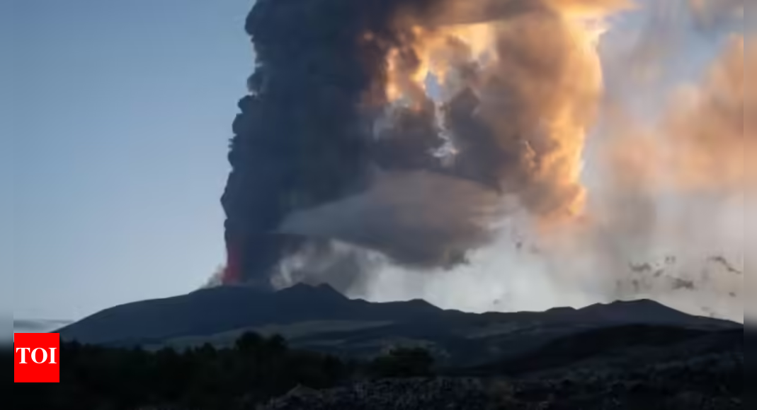 New Zealand eruption survivors tell of horror on first day of inquest