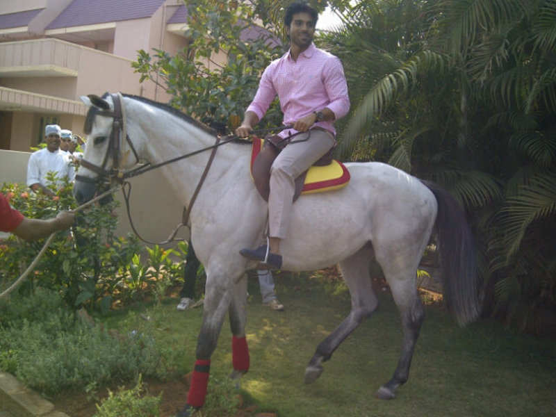 charan gets a horse as gift  telugu movie news  times of india