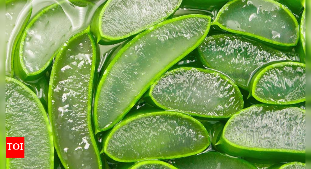 Side effects of Aloe Vera on skin: Who should not use it
