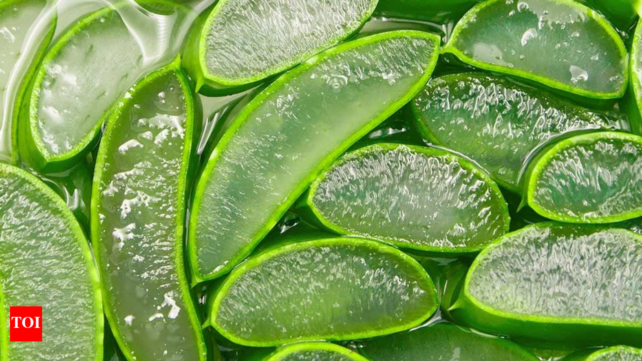 Side effects of Aloe Vera on skin: Who should not use it | - The Times of  India