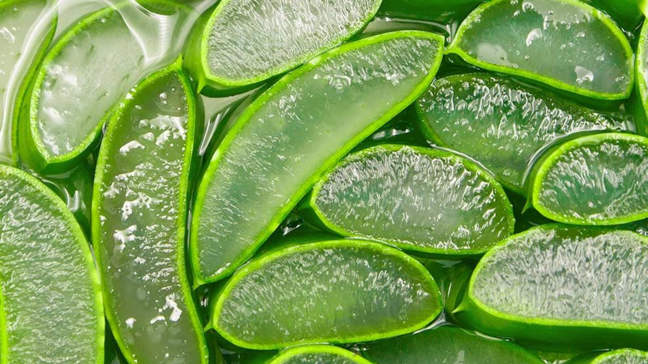 Side effects of Aloe Vera on skin: Who should not use it | - The Times of  India