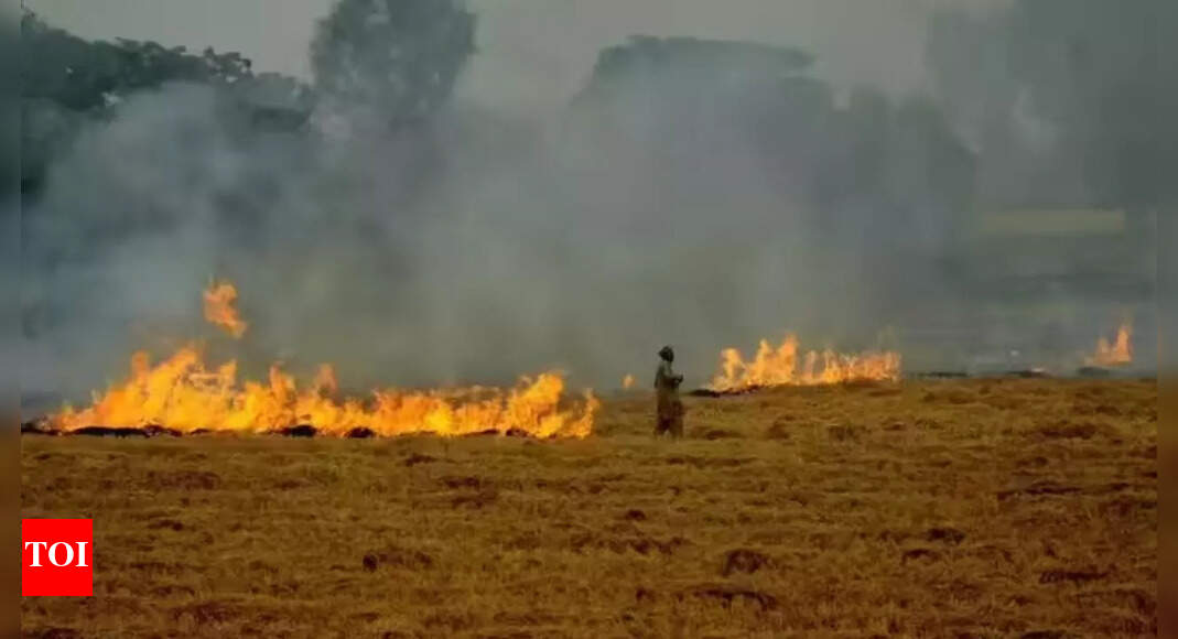 Crackdown on stubble burning: CAQM empowers DMs to act against officials over inaction