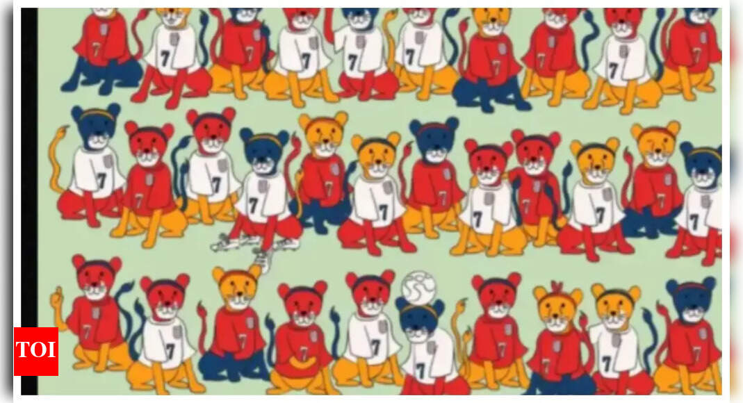 Optical illusion: Spot the ‘odd lion’ in this picture, in under 5 seconds! | – The Times of India