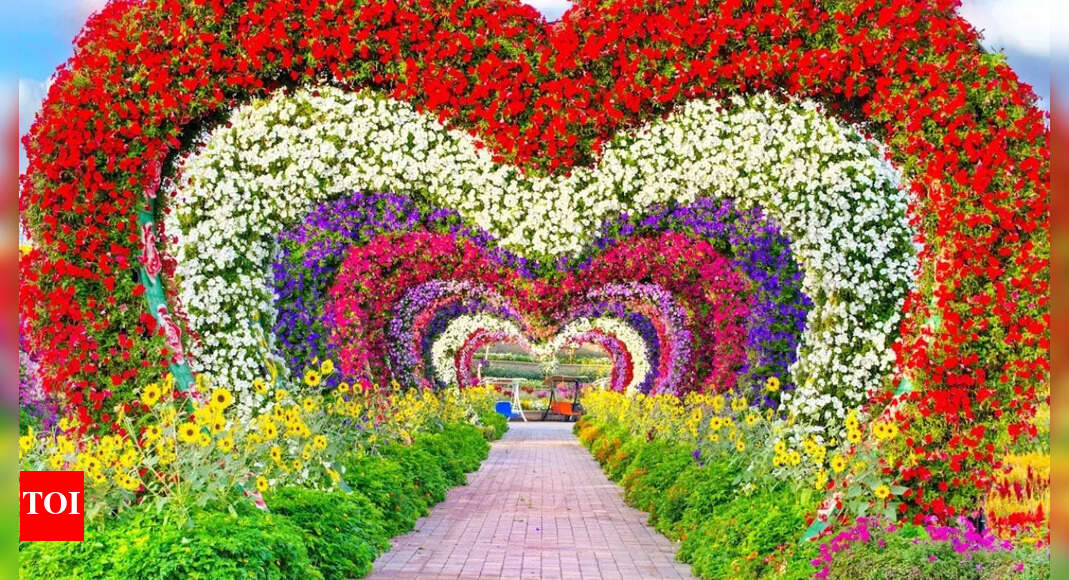 https://static.toiimg.com/thumb/msid-124289854,width-1070,height-580,imgsize-279026,resizemode-75,overlay-toi_sw,pt-32,y_pad-40/photo.jpg