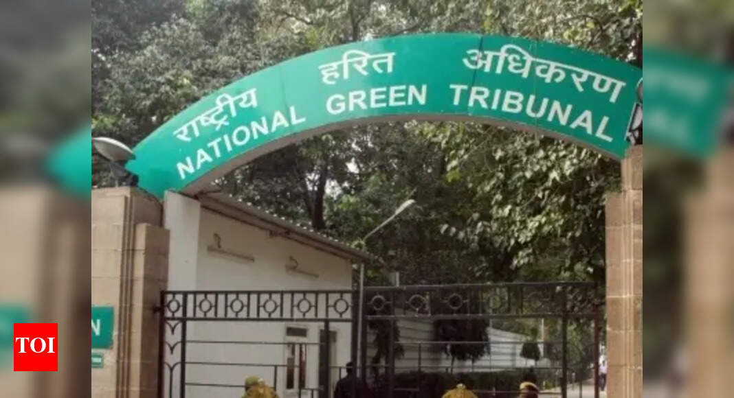 NGT issues notices over illegal encroachment and environmental violations by steel plant in Jharsuguda