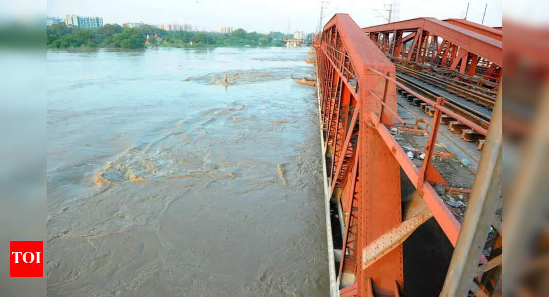 Delhi: Deluge gives Yamuna clean sweep, its best on record