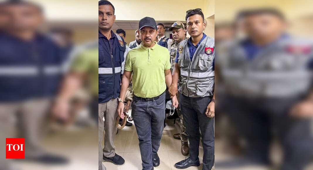 <div>Zubeen Garg death: ED, IT likely to join probe against festival organiser Shyamkanu Mahanta; 'financial irregularities' under scanner - report</div>
