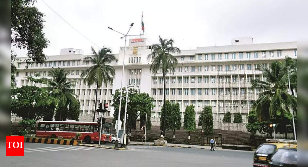 The Times of India - Business - News Image