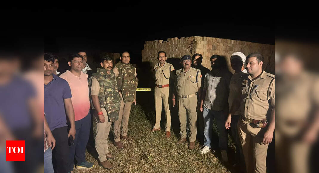 Criminal carrying Rs 1 lakh bounty killed in Agra police encounter
