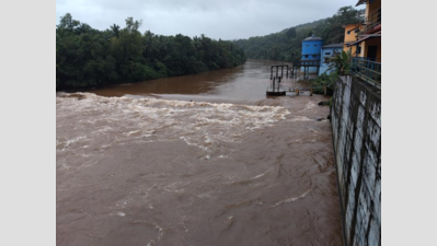 Low pressure water to Tiswadi after crack in pipeline at Opa plant