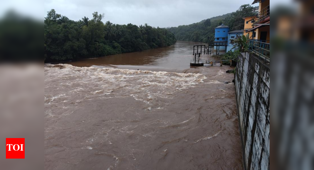 Low pressure water to Tiswadi after crack in pipeline at Opa plant