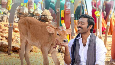 'Idli Kadai' box office collection day 3: Dhanush’s directorial holds steady, collects over Rs 26 crore in India