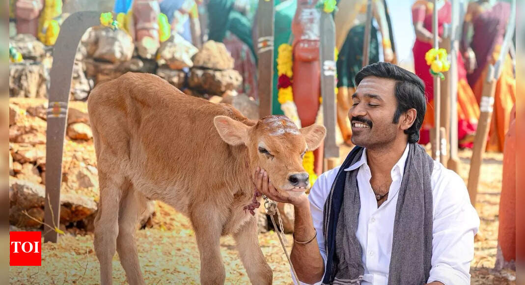 <div>'Idli Kadai' box office collection day 3</div>