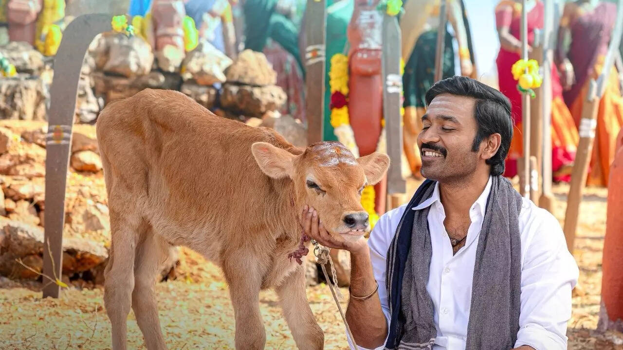 Idli Kadai' box office collection day 3: Dhanush's directorial holds steady, collects over Rs 26 crore in India | Tamil Movie News - The Times of India