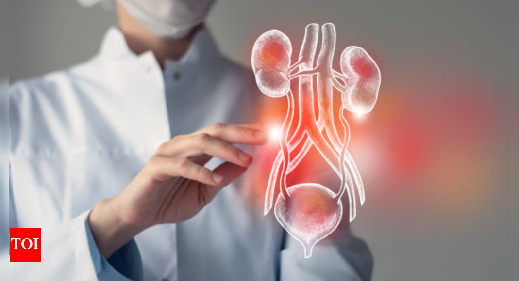 Kidney transplant breakthrough: Scientists create universal donor kidney to solve organ shortage