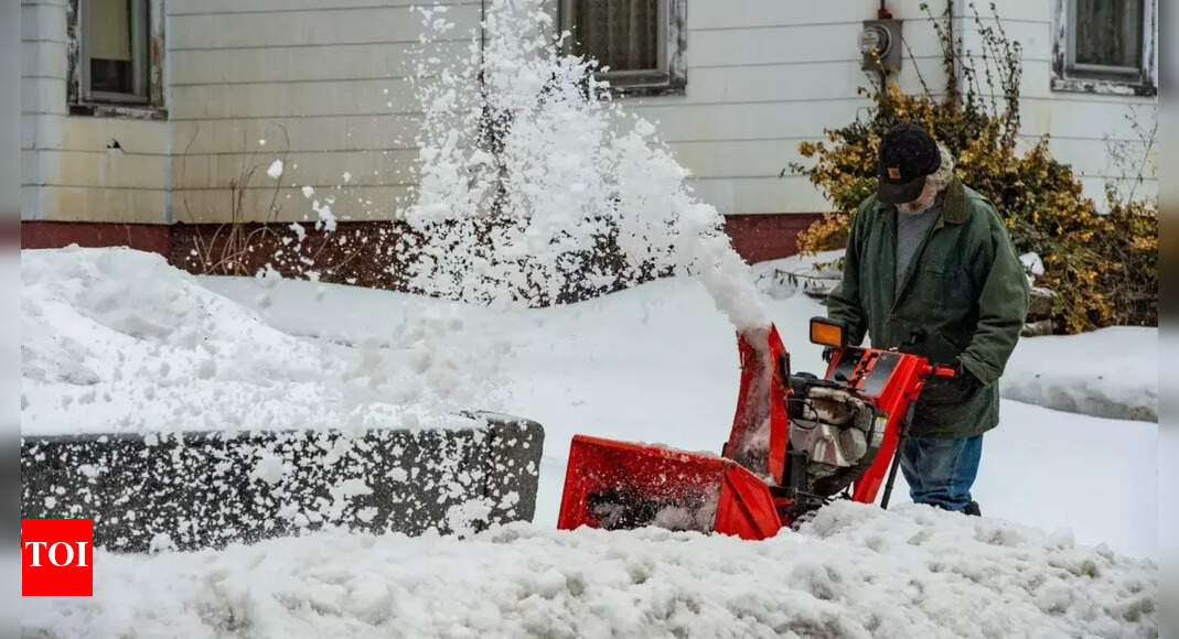 Winter weather warnings issued in 8 states with up to 9 inches of snow; how to save your garden from the snow